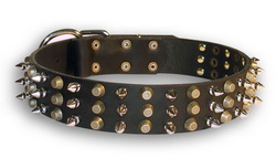 Stylish wide leather collar with pyramids and spikes for Doberman