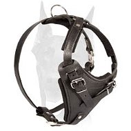 Adjustable Leather Dog Harness for Doberman Training and Daily Walking