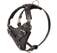 Black Leather Dog Harness for Doberman