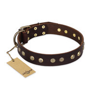 'Bronze Sheen' FDT Artisan Doberman Brown Leather Dog Collar with Old Bronze-Like Plated Studs - 1 1/2 inch (40 mm) wide