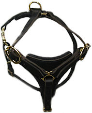 DOBERMAN Dog Walking Harness H3