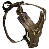 Doberman Padded Dog Harness; Model H10
