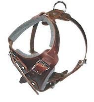DOBERMAN adjustable dog harness - H1 DOBERMAN adjustable dog harness - H1