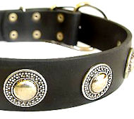 Deluxe Leather Dog Collar with jewelry for Doberman
