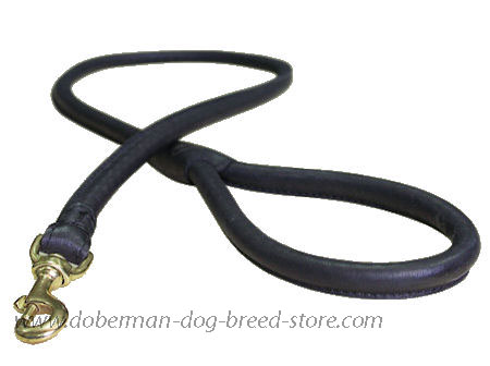 Matching Rolled Leather Dog Lead for Doberman