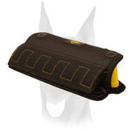 Puppy and Young Doberman Bite X-Builder