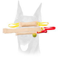 Doberman Puppy Training Set With Great Training Toy