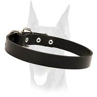 Stylish leather Doberman collar 1 inch wide