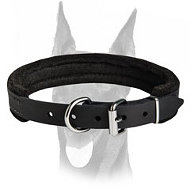 Best training leather felt padded collar only 1 inch (25 mm) wide Best training leather felt padded collar only 1 inch (25 mm) wide