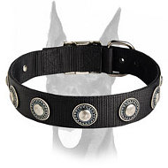Exquisite design nylon collar with silver conchos Exquisite design nylon collar with silver conchos