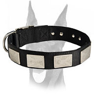 Gorgeous nylon collar with vintage massive plates for Doberman Gorgeous nylon collar with vintage massive plates for Doberman