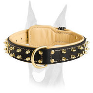 Awesome royal Nappa padded leather collar with brass spikes Awesome royal Nappa padded leather collar with brass spikes