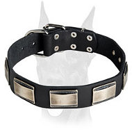 Gorgeous handcrafted leather collar with vintage nickel plates for Doberman Gorgeous handcrafted leather collar with vintage nickel plates for Doberman