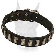Best fitting decorated leather collar for Doberman Best fitting decorated leather collar for Doberman
