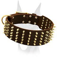 3 inch wide gorgeous spiked leather collar for Doberman 3 inch wide gorgeous spiked leather collar for Doberman