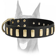 Gorgeous Wide Leather Dog Collar With Plates Gorgeous Wide Leather Dog Collar With Plates