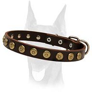 Gorgeous Leather Dog Collar With Dotted Circles Gorgeous Leather Dog Collar With Dotted Circles