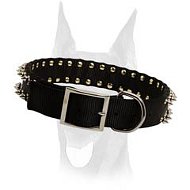 Stylish nylon collar with 2 rows of spikes for Doberman Stylish nylon collar with 2 rows of spikes for Doberman