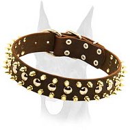 Luxury design leather collar with spikes and studs for Doberman Luxury design leather collar with spikes and studs for Doberman
