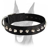 Attractive nylon collar with 1 row of nickel studs for Doberman