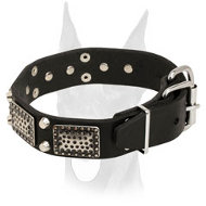 War-like leather collar with massive vintage plates and pyramids for Doberman