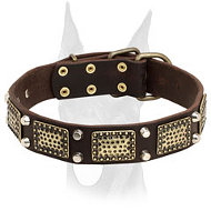 Elegant leather Doberman collar with vintage massive plates and pyramids