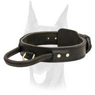 Agitation Leather Collar with Strong padded Handle for Doberman