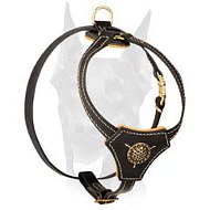 Incredibly attractive walking leather harness for Doberman Incredibly attractive walking leather harness for Doberman