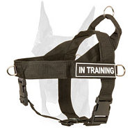 Nylon Doberman harness with ID-patches