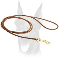 Walking handmade dog show leash for Doberman