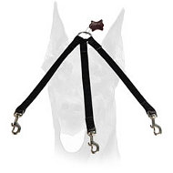 Any weather usage triple coupler for walking three dogs