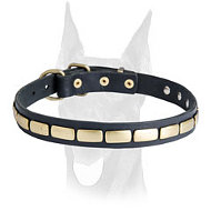 Leather Special Dog Collar With Plates
