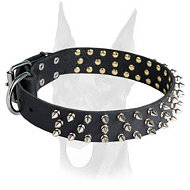 Spiked Leather Doberman Collar for Any Kind of Work