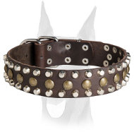 Perfect fit handmade leather Doberman collar with studs and pyramids