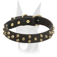Comfortable and safe leather Doberman collar with symmetrical brass pyramids