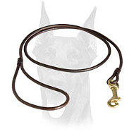 Show leather Doberman leash