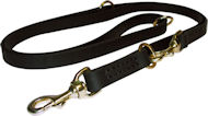 Dog Leash Training for Doberman -Training Lead