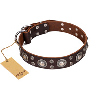 'Age of Beauty' FDT Artisan Studded Brown Leather Doberman Collar 'Age of Beauty' FDT Artisan Studded Brown Leather Doberman Collar
