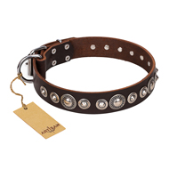 "Step and Sparkle" FDT Artisan Studded Brown Leather Doberman Collar "Step and Sparkle" FDT Artisan Studded Brown Leather Doberman Collar