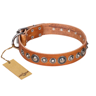 'Daily Chic' FDT Artisan Tan Leather Doberman Collar with Decorations