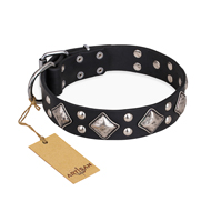 "Smart Geometry" FDT Artisan Decorated Leather Doberman Collar "Smart Geometry" FDT Artisan Decorated Leather Doberman Collar