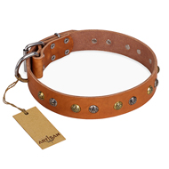 'Golden'n'Silver Luxury' FDT Artisan Leather Doberman Collar with Engraved Studs