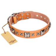 'Silver Chic' FDT Artisan Tan Leather Doberman Collar with Silvery-plated Decorations
