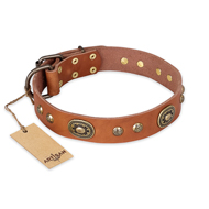 'Stunning Dress' FDT Artisan Tan Leather Doberman Collar with Brass-plated Decor - 1 1/2 inch (40 mm) wide