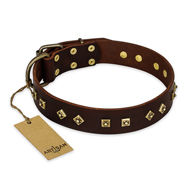 'Fashion Studs' FDT Artisan Decorated Brown Doberman Collar with Old Bronze-Plated Steel Hardware 1 1/2 inch (40 mm) Wide