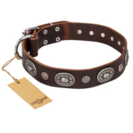 'Extra Pizzazz' FDT Artisan Adorned Brown Leather Doberman Collar