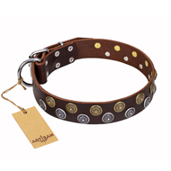 'Strong Shields' FDT Artisan Leather Doberman Collar with Set of Large Studs