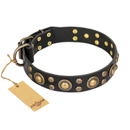 'Baroque Chic' FDT Artisan Doberman Studded Black Leather Dog Collar