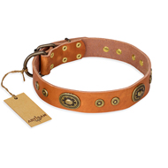 'Dandy Pet' FDT Artisan Handcrafted Tan Leather Doberman Collar
