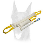 Fire Hose Bite Tugs Training Set